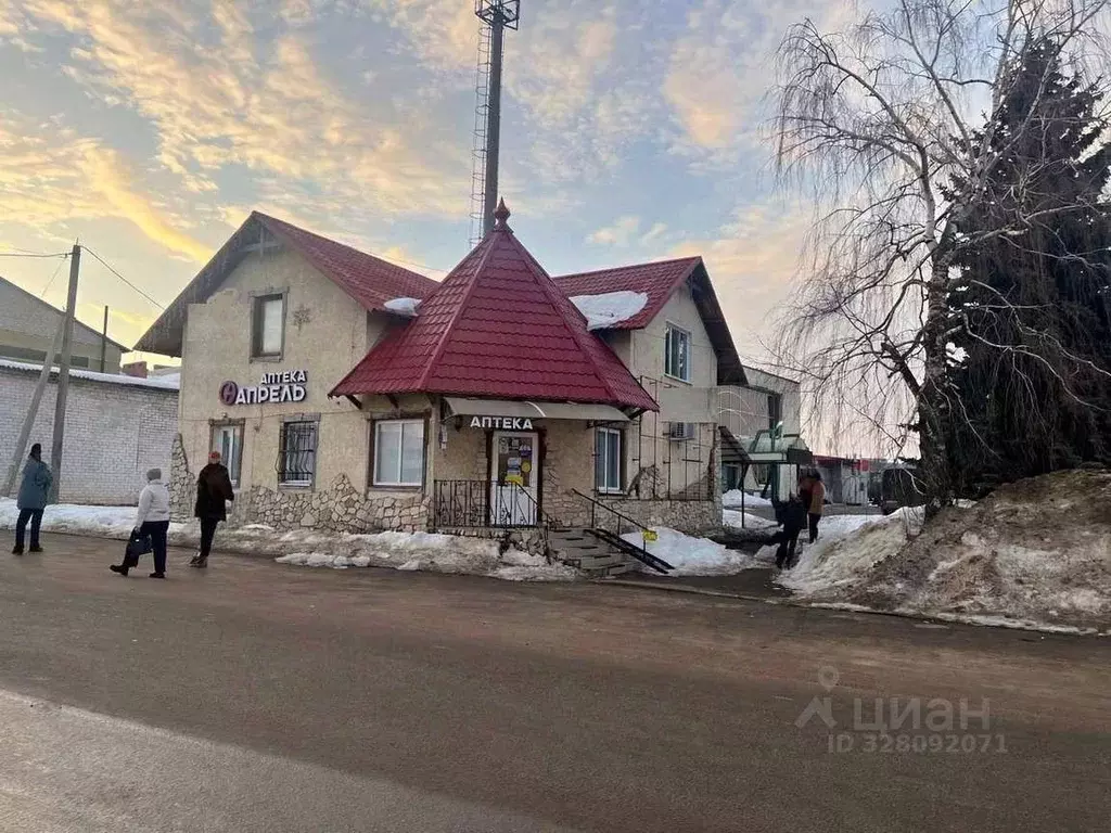 Торговая площадь в Саратовская область, Новые Бурасы рп ул. Почтовая, ... - Фото 1