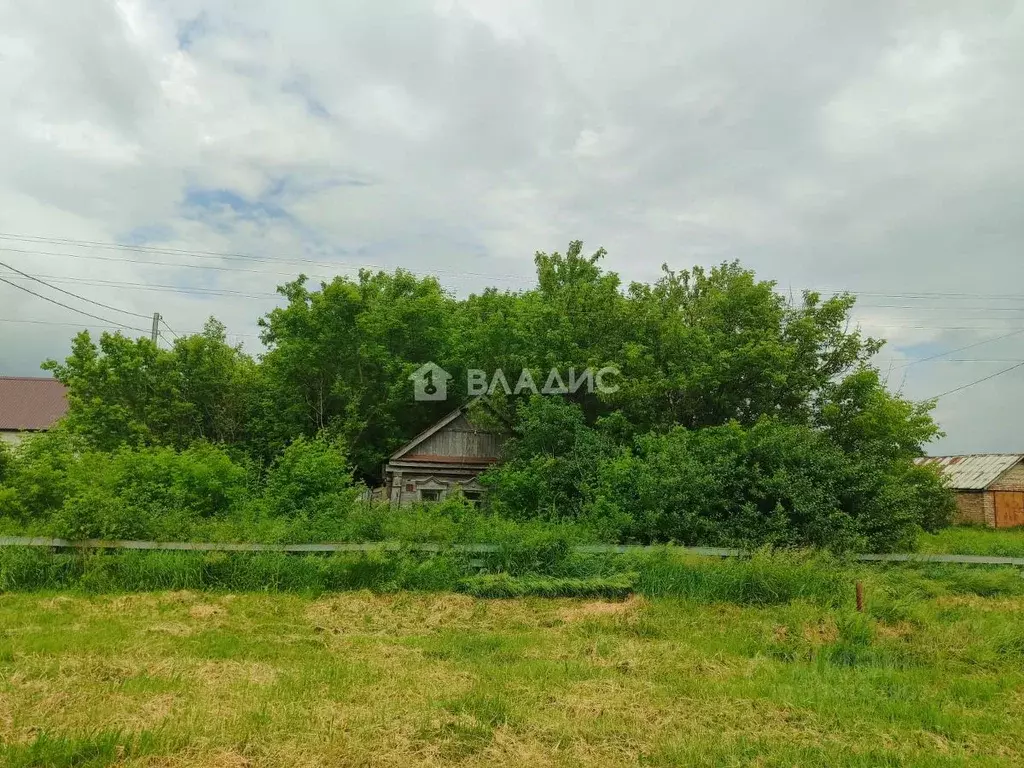 Участок в Пензенская область, Бессоновский район, с. Кижеватово ул. ... - Фото 1