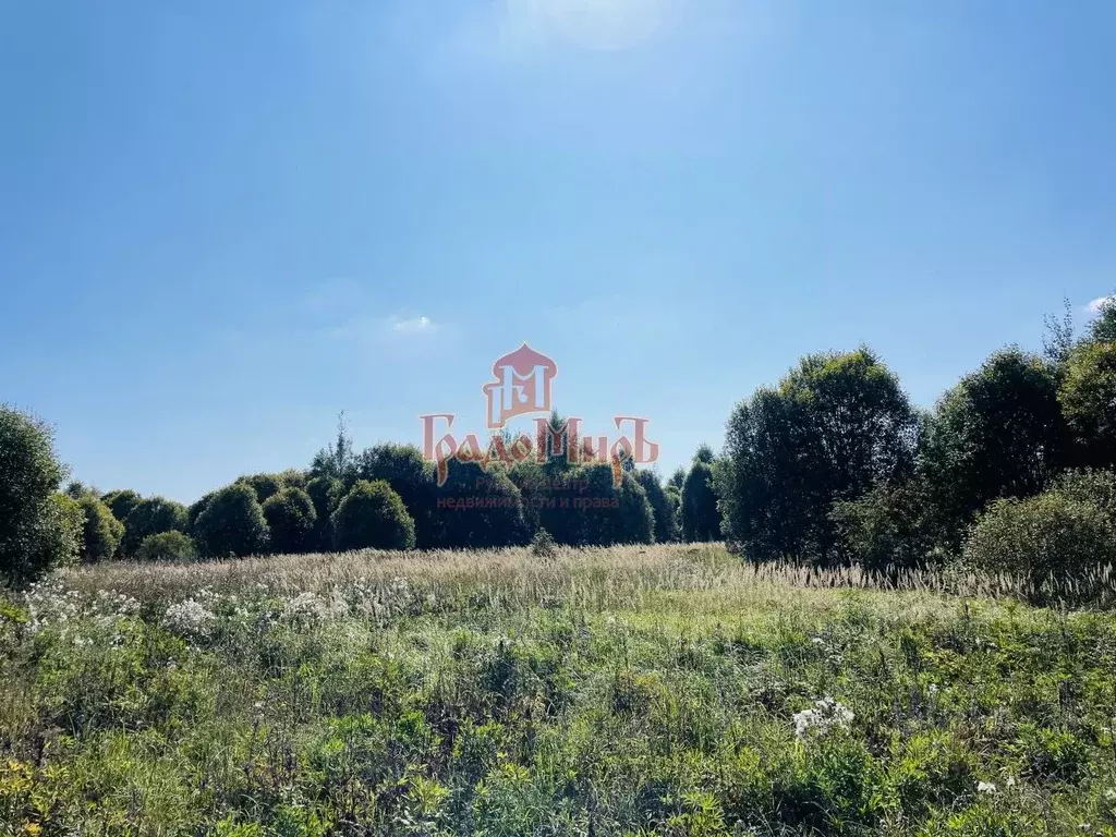 Участок в Владимирская область, Александровский район, Следневское ... - Фото 1