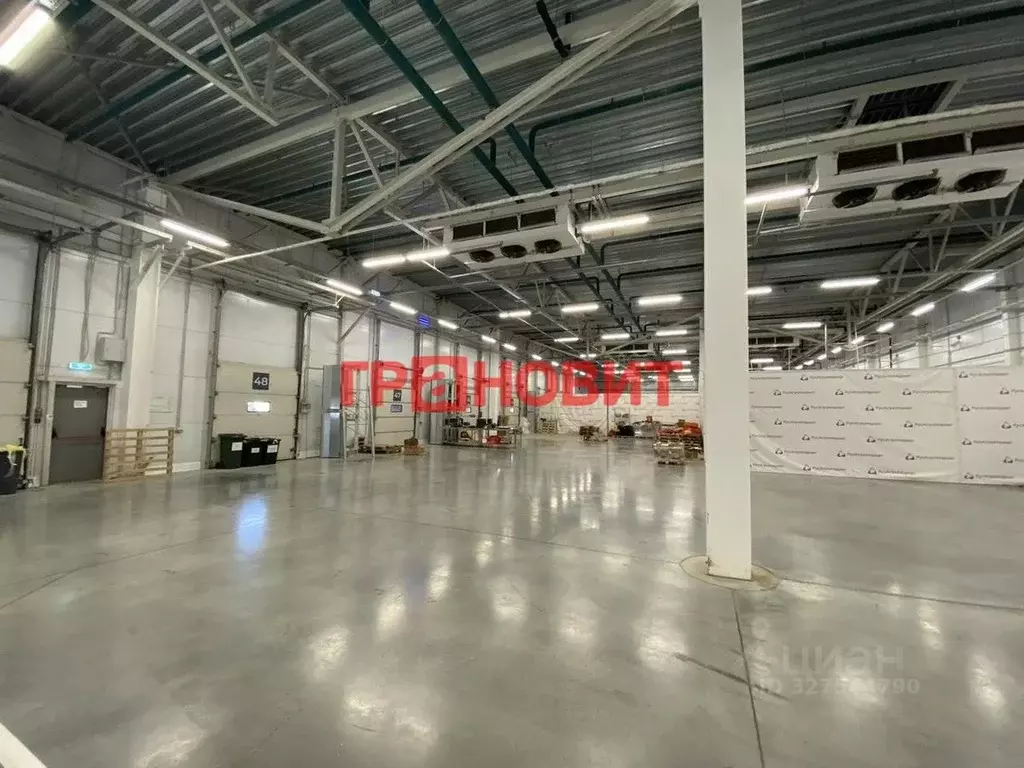 Склад в Новосибирская область, Новосибирский район, с. Толмачево ул. ... - Фото 1