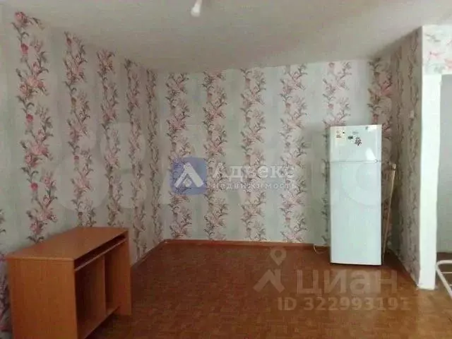 1-к кв. Тюменская область, Тюмень ул. Мира, 31 (31.0 м) - Фото 2