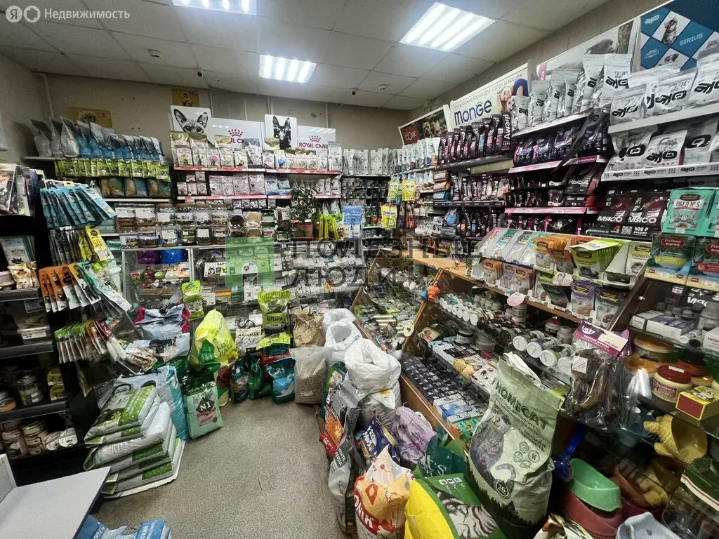 Помещение свободного назначения (29.5 м) - Фото 2