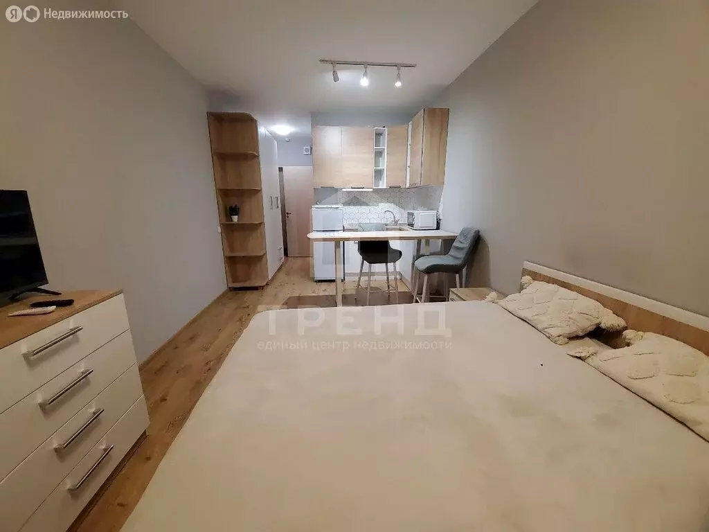 Квартира-студия: посёлок Парголово, Толубеевский проезд, 8к2 (22.6 м) - Фото 2