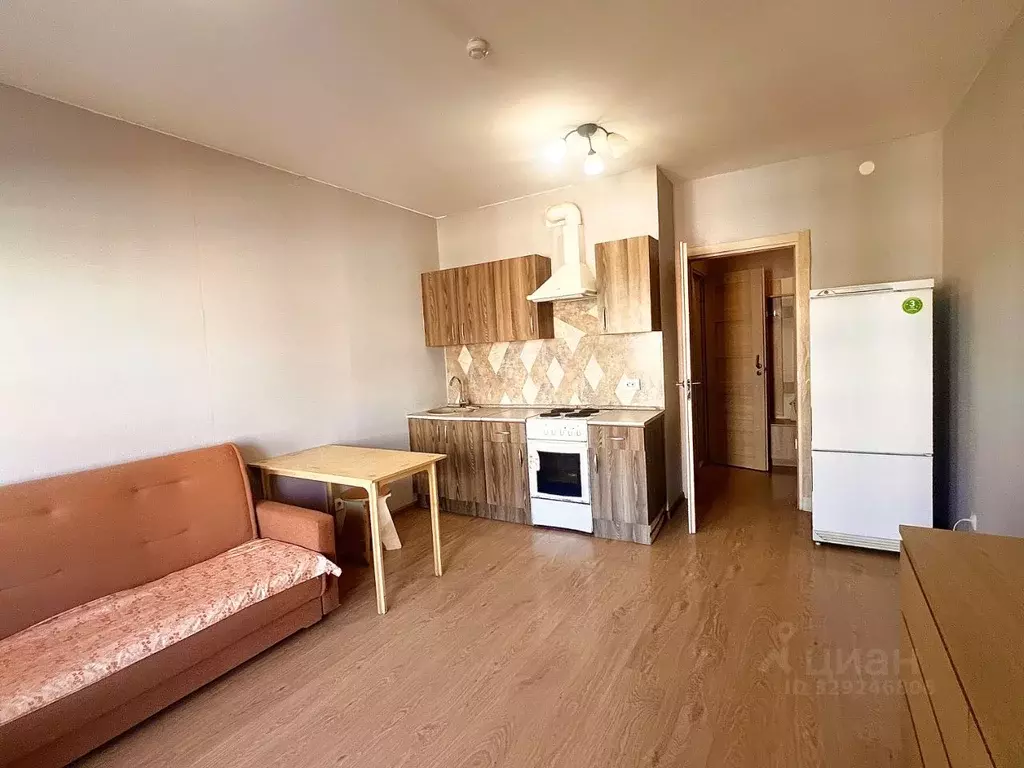Студия Санкт-Петербург ул. Летчика Лихолетова, 14к2 (24.1 м) - Фото 1