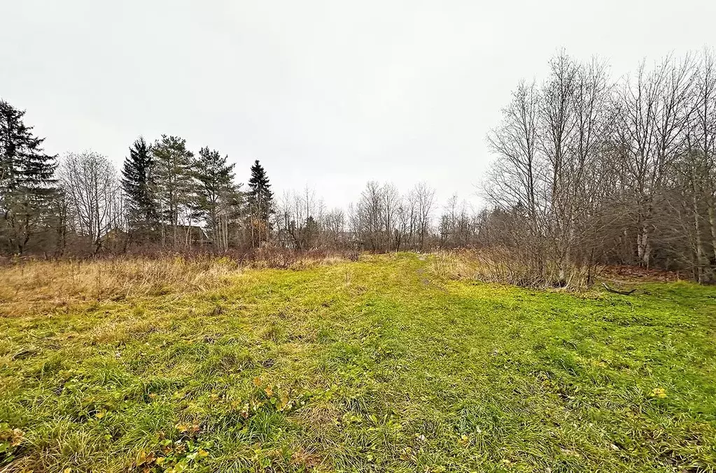 Участок в Ленинградская область, Ломоносовский район, Ропшинское с/пос ... - Фото 1