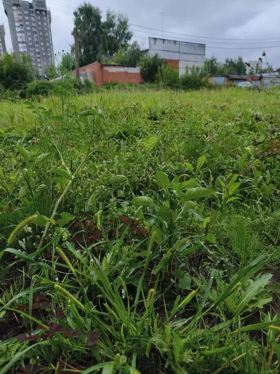Дом в Чувашия, Чебоксары Светлая ул., 50 (65 м) - Фото 2