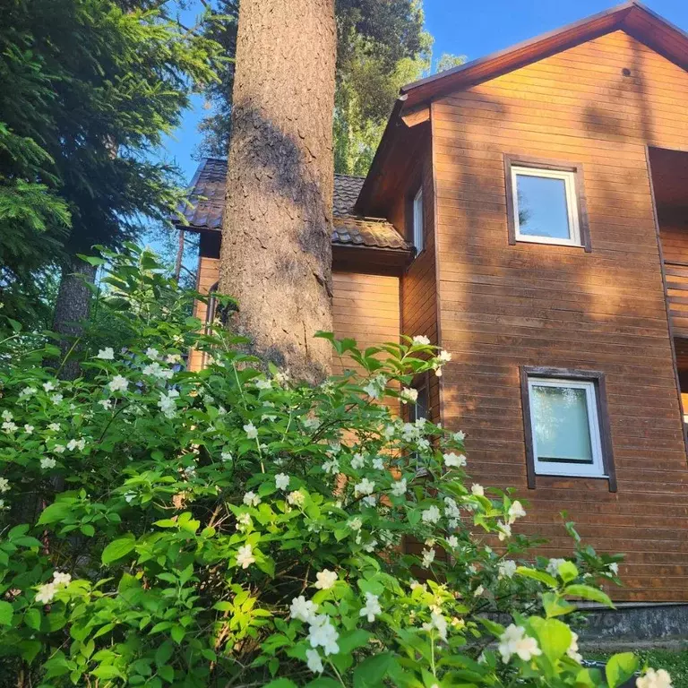 Дом в Ленинградская область, Приозерский район, пос. Сосново ул. ... - Фото 2