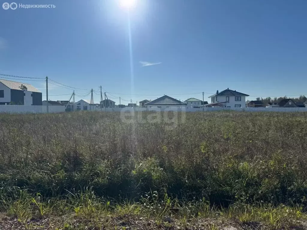 Участок в Ленинградская область, Гатчинский муниципальный округ, КП ... - Фото 2