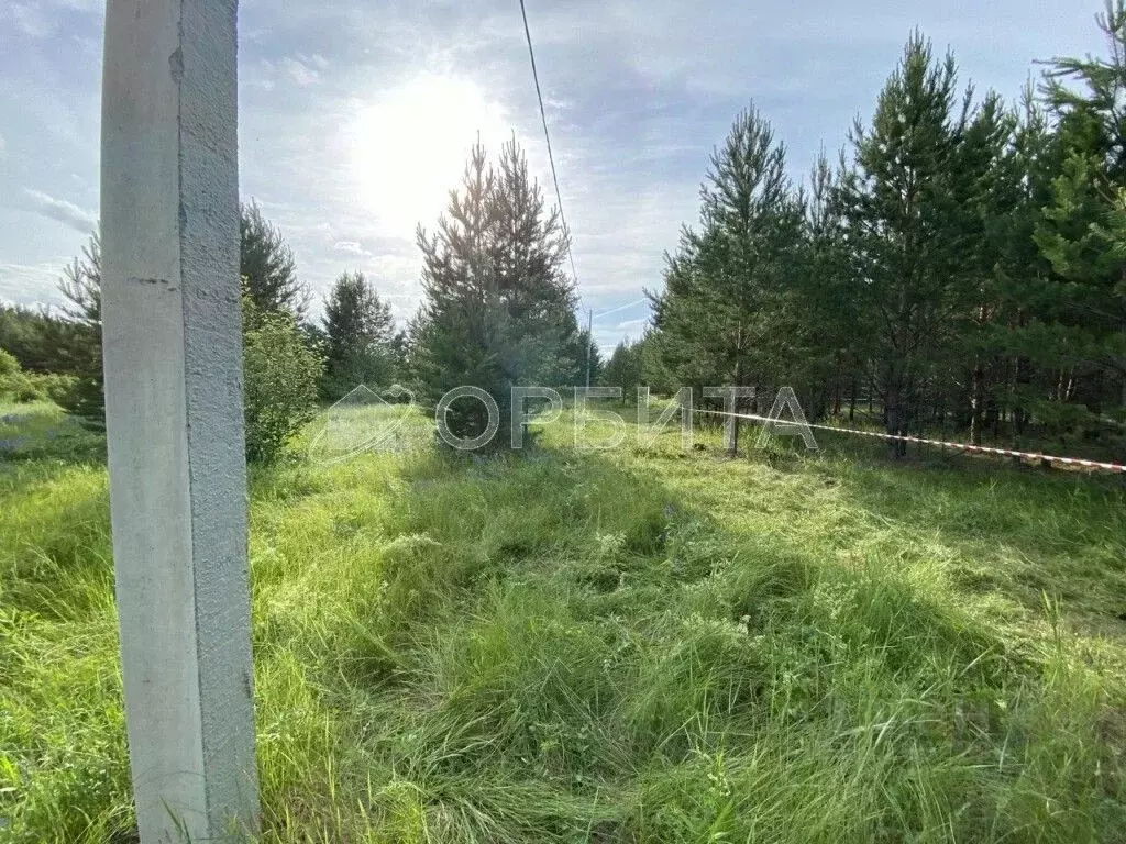 Участок в Тюменская область, Тюмень ул. Ленина (12.0 сот.) - Фото 1