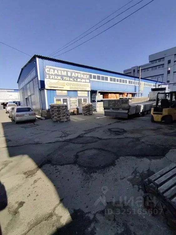 Торговая площадь в Иркутская область, Иркутск ул. Сергеева, 3/4 (40 м) - Фото 1