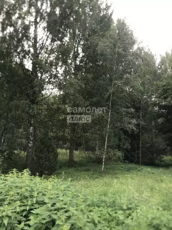 Участок в Владимирская область, Судогодский район, Лавровское ... - Фото 1