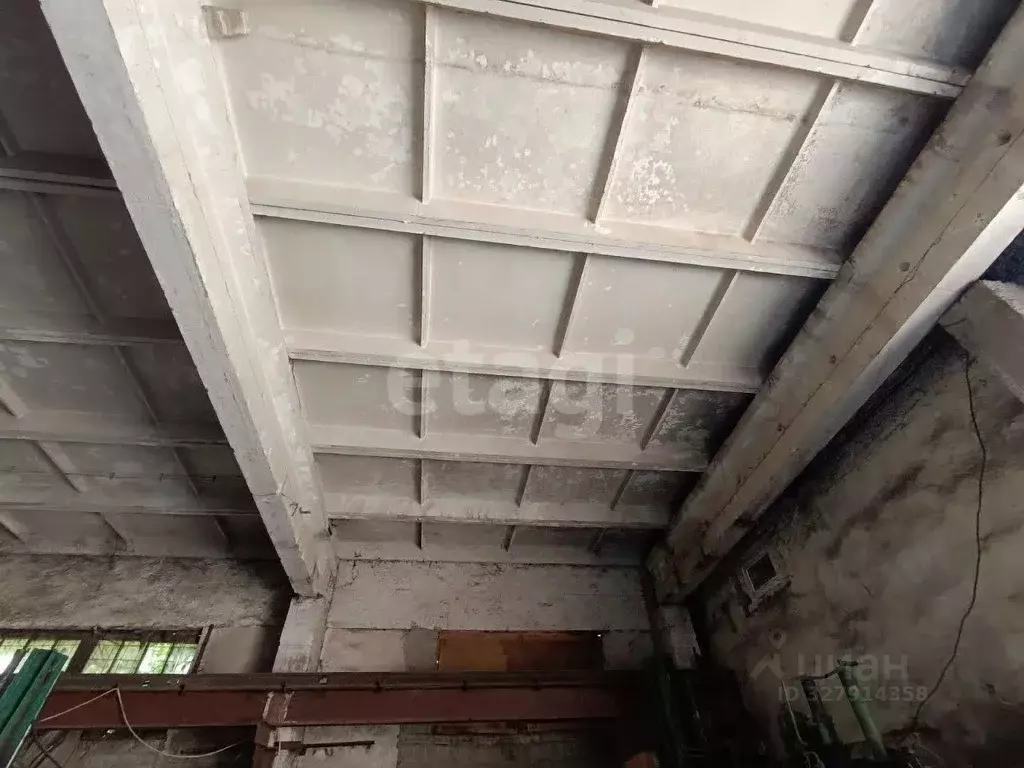 Помещение свободного назначения в Белгородская область, Алексеевка ... - Фото 1