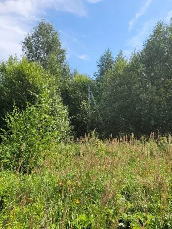 Участок в Чувашия, Чебоксары Соляное мкр, Иволга жилой комплекс (7.17 ... - Фото 2