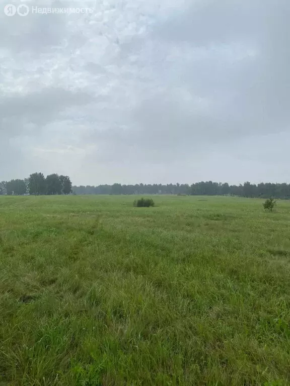 Участок в село Калачёво (200 м) - Фото 1