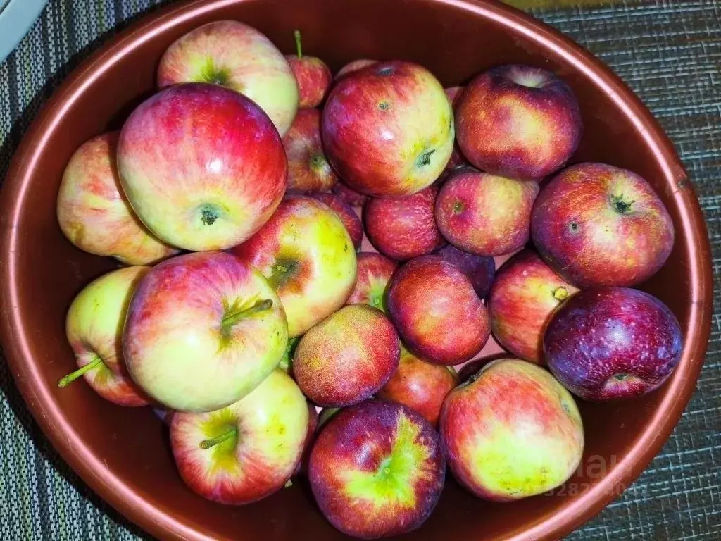 Участок в Хабаровский край, Хабаровск Мичурина-2 СНТ, 1 (10.0 сот.) - Фото 2