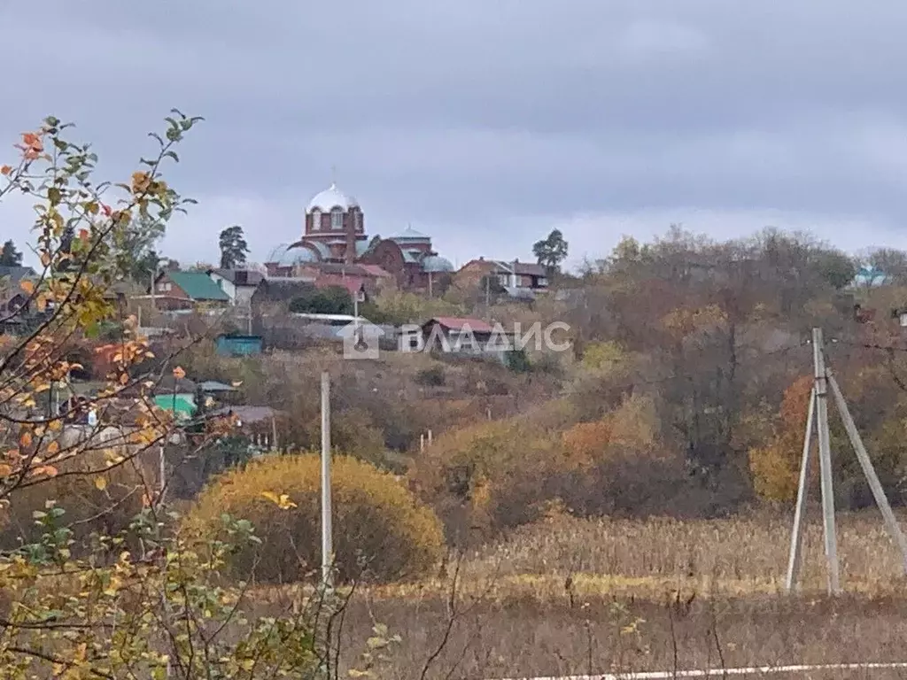 Участок в Воронежская область, Рамонский район, с. Березово  (35.0 ... - Фото 2