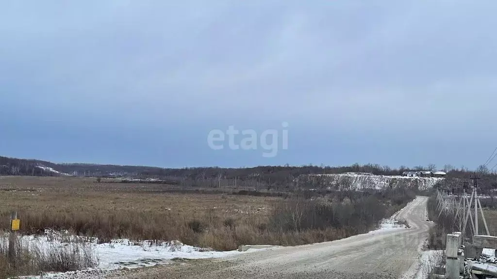 Участок в Амурская область, Благовещенский район, с. Кантон-Коммуна  ... - Фото 0