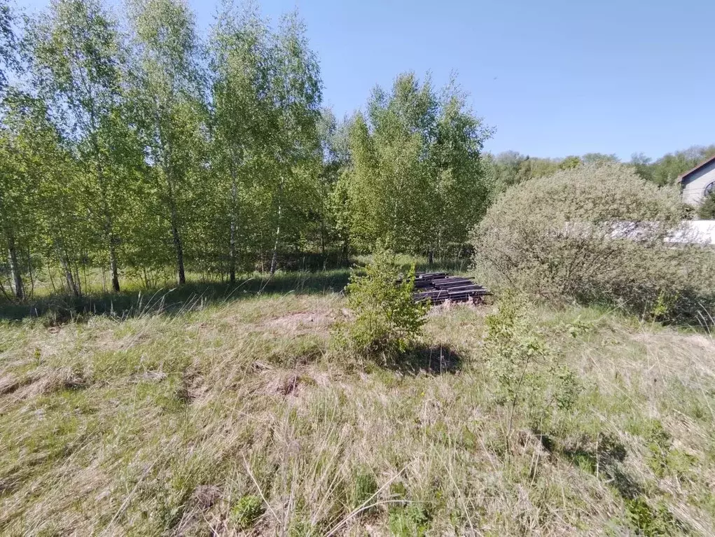 Участок в Московская область, Серпухов городской округ, д. Арнеево ул. ... - Фото 1
