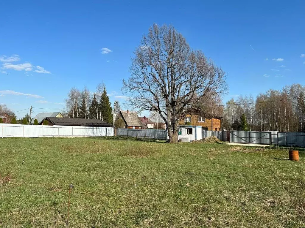 Деревня петелино московская область. Деревня петелино московская область