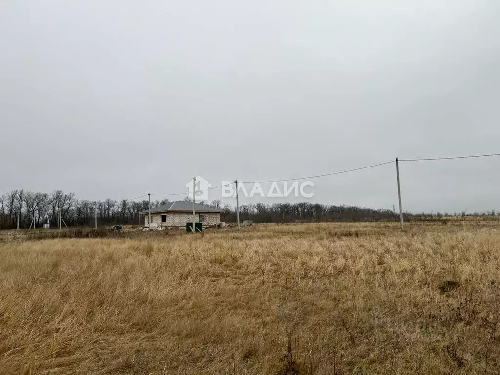 Участок в Пензенская область, с. Бессоновка ул. Ключевая (10.0 сот.) - Фото 2