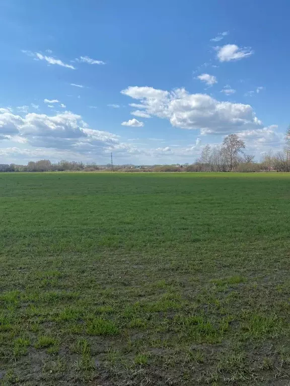 Участок в Московская область, Раменский муниципальный округ, Анюта ТСН ... - Фото 2