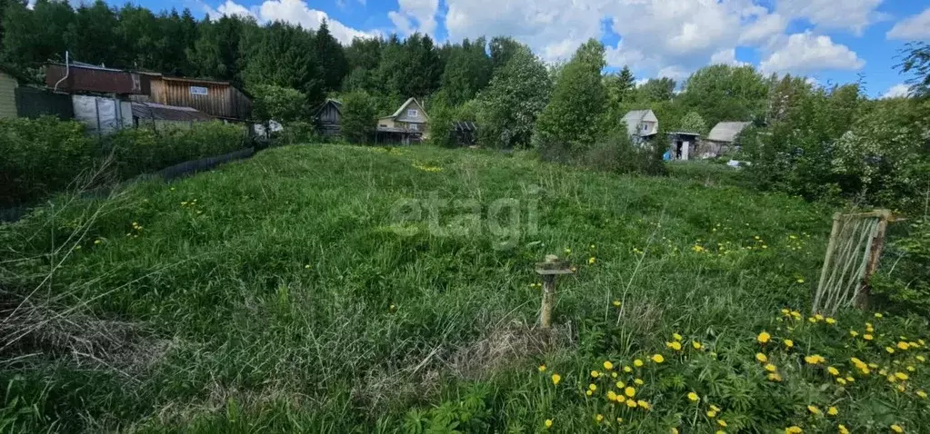 Участок в Архангельская область, Котласский муниципальный округ, ... - Фото 1
