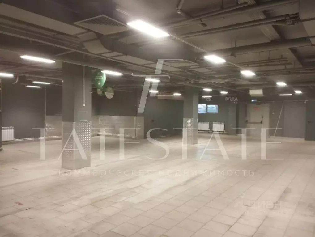 Помещение свободного назначения в Татарстан, Казань просп. Ямашева, ... - Фото 2