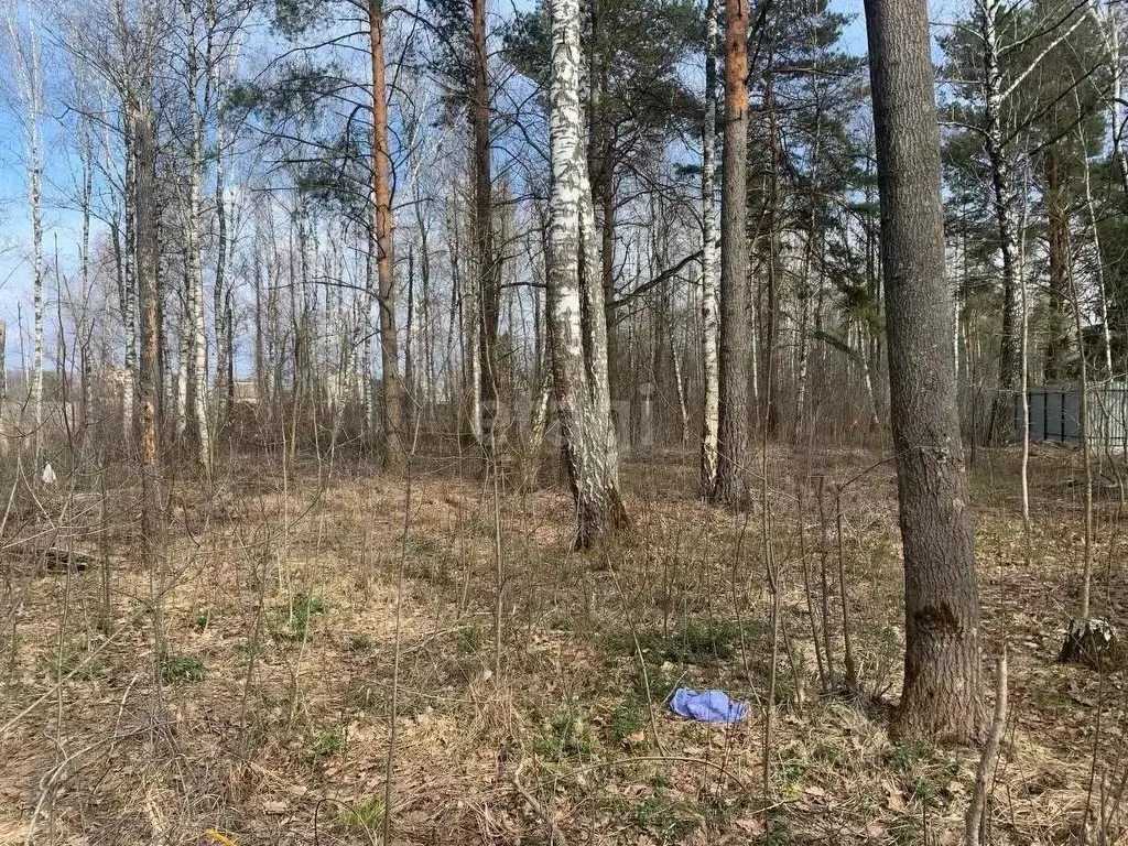 Участок в Брянская область, Брянский район, Нетьинское с/пос, Лесная ... - Фото 2