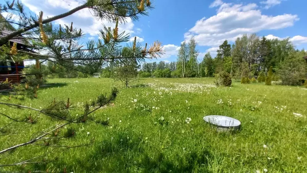 Участок в Московская область, Истра городской округ, д. ... - Фото 0