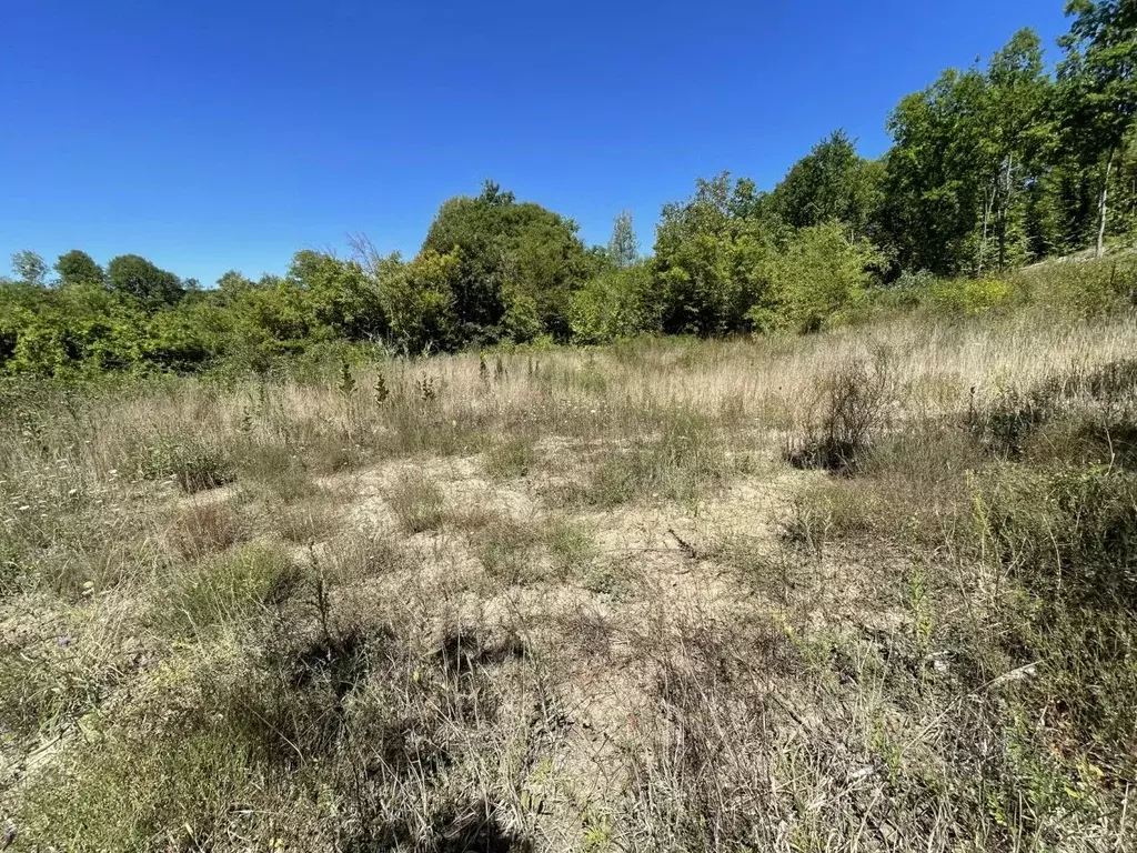 Участок в Краснодарский край, Геленджик городской округ, с. ... - Фото 2