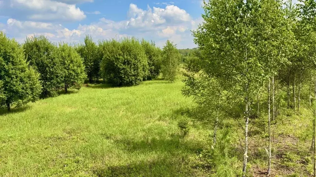 Участок в Москва д. Ширяево, аллея Березовая, 21 (15.0 сот.) - Фото 2