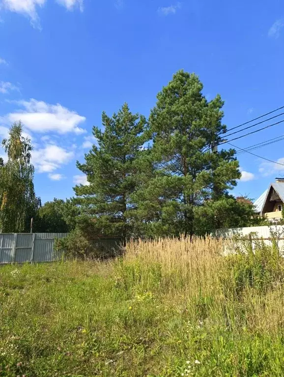 Участок в Московская область, Богородский городской округ, д. Марьино ... - Фото 1