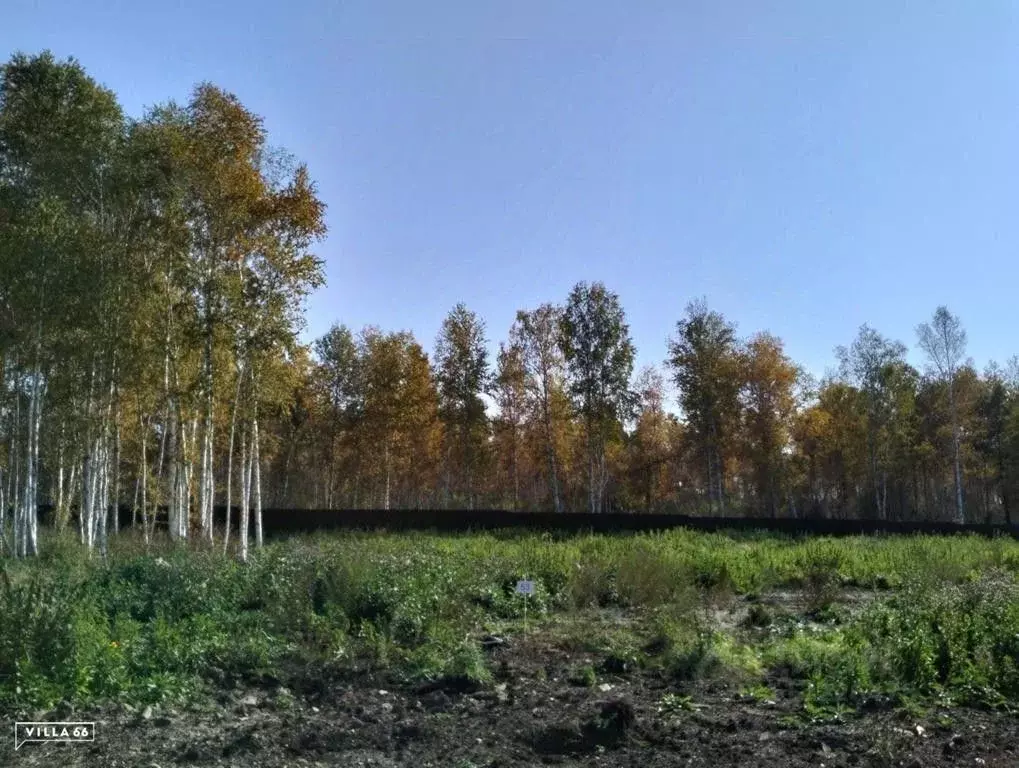 Участок в Свердловская область, Сысертский городской округ, пос. ... - Фото 0