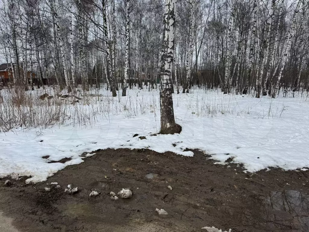 Участок 17 сот. (ИЖС) - Фото 0