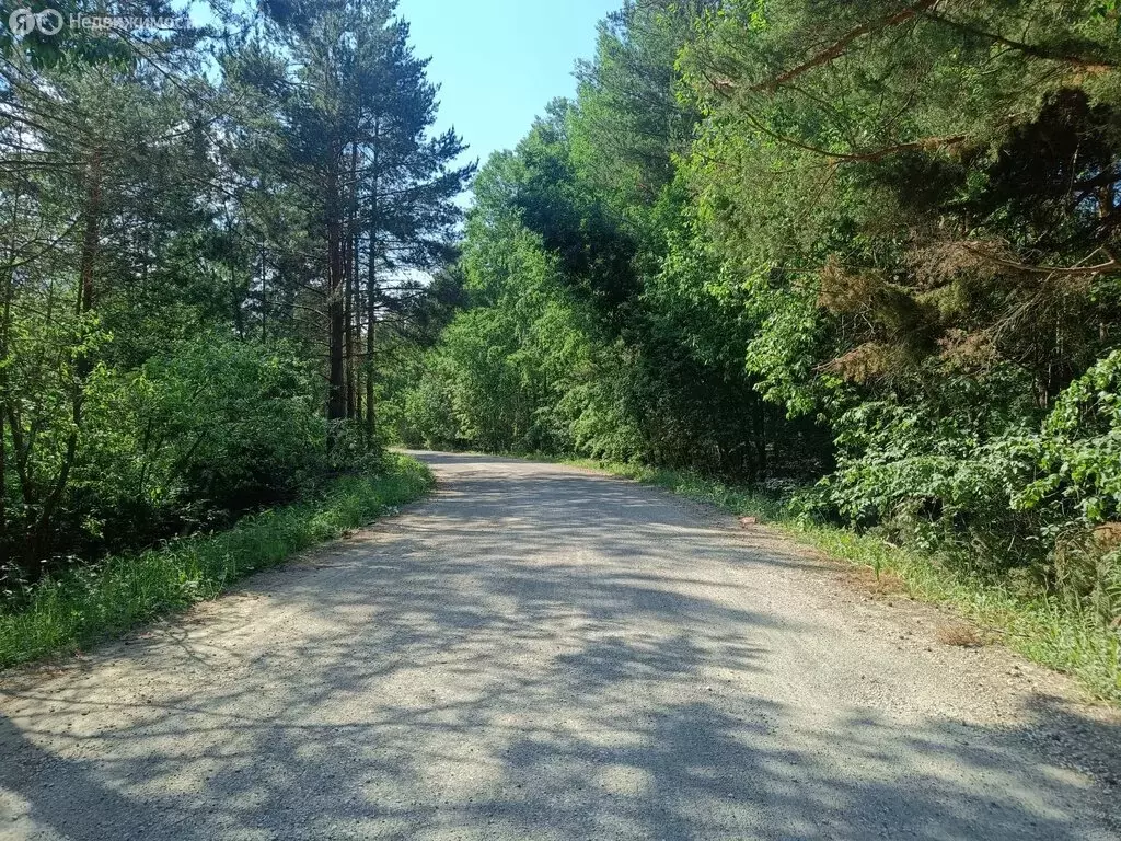 Участок в Полевской городской округ, деревня Раскуиха, Новая улица (21 ... - Фото 0