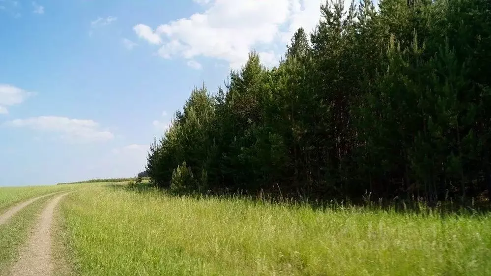 Участок в Свердловская область, Белоярский городской округ, пос. ... - Фото 1