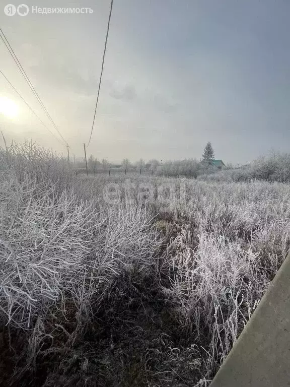 Участок в городской округ Ульяновск, село Отрада (13 м) - Фото 1