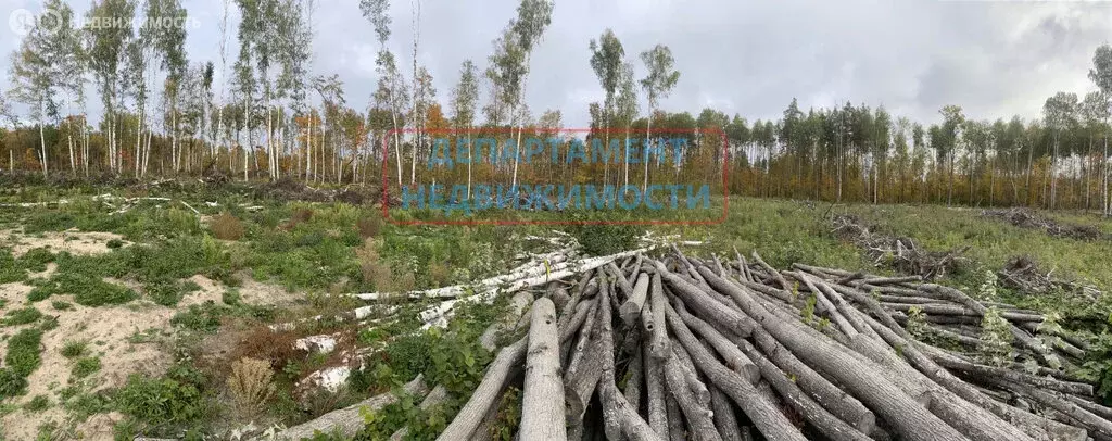 Участок в Димитровград, улица Курчатова, 8 (10 м) - Фото 2