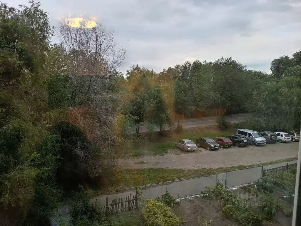 3-к кв. Самарская область, Сызрань ул. Декабристов, 153 (58.2 м) - Фото 2