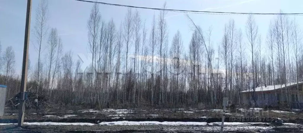 Участок в Новосибирская область, Новосибирский район, Станционный ... - Фото 0