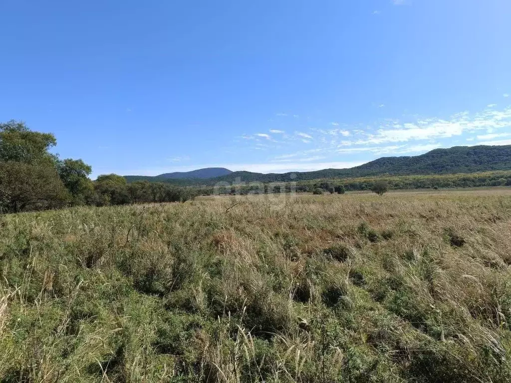 Участок в Приморский край, Партизанский городской округ, с. Серебряное ... - Фото 0