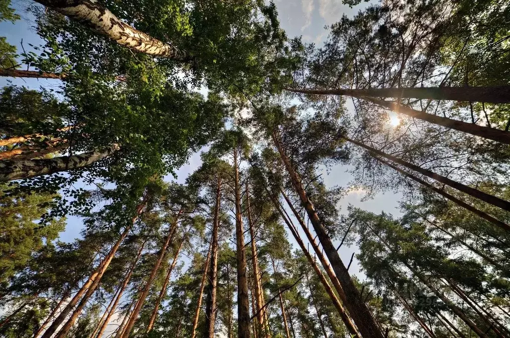 Участок в Московская область, Одинцовский городской округ, Мэдисон ... - Фото 0