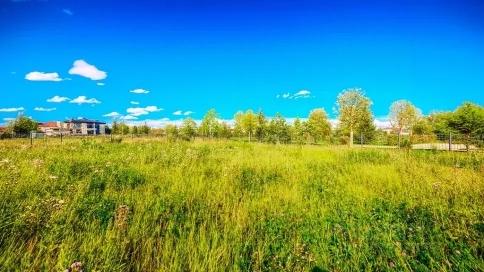 Участок в Московская область, Красногорск городской округ, с. ... - Фото 0