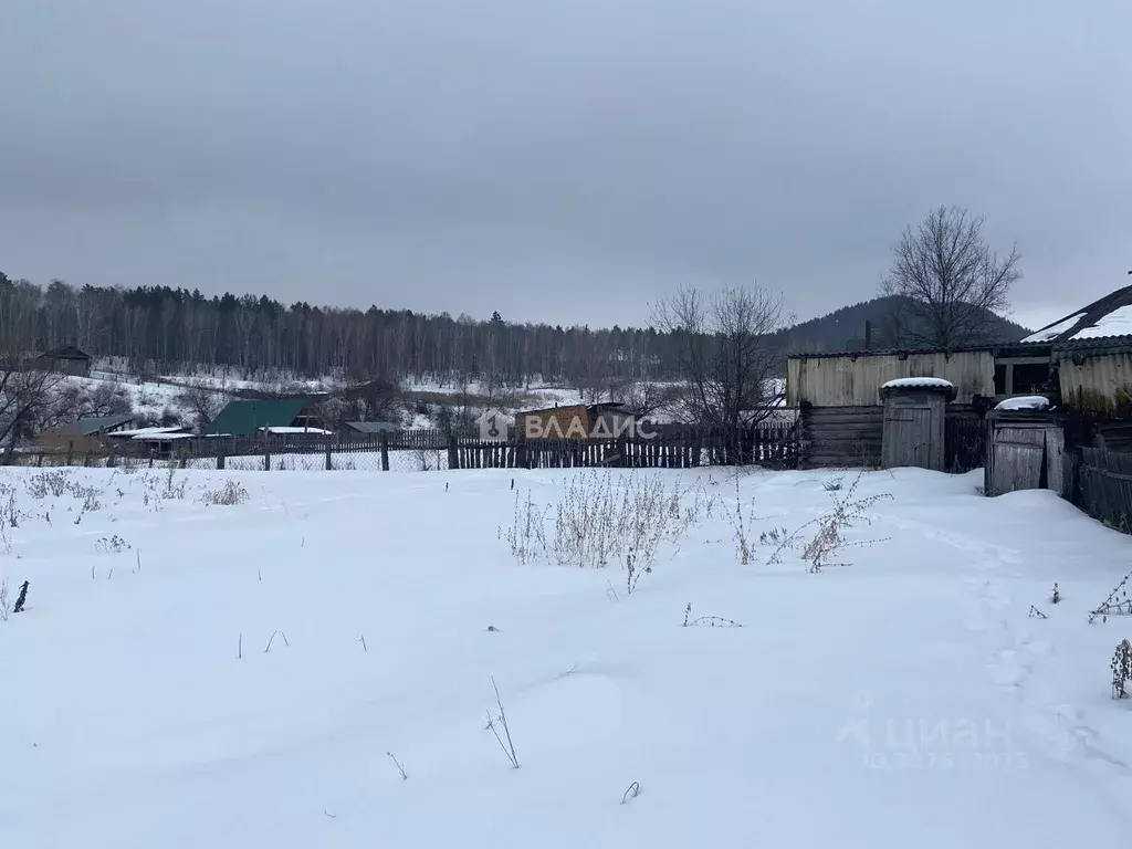Участок в Алтайский край, Алтайский район, с. Нижнекаянча ул. ... - Фото 2