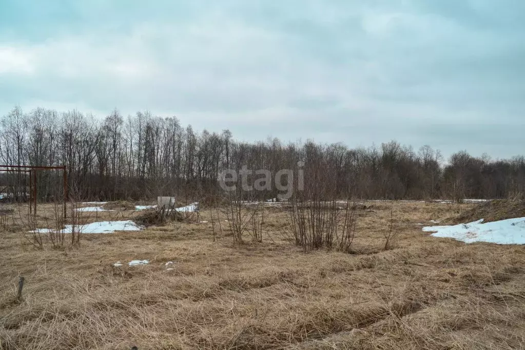 Участок в Ярославская область, Ярославский муниципальный округ, д. ... - Фото 1