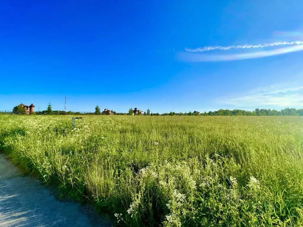 Участок в Тверская область, Конаковский муниципальный округ, д. ... - Фото 1