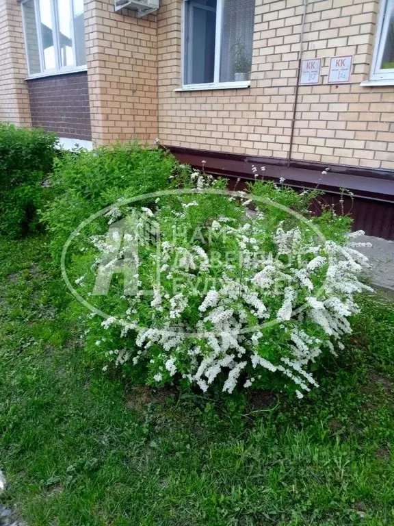 1-к кв. Пермский край, Пермь ул. Сакко и Ванцетти, 99 (36.0 м) - Фото 2