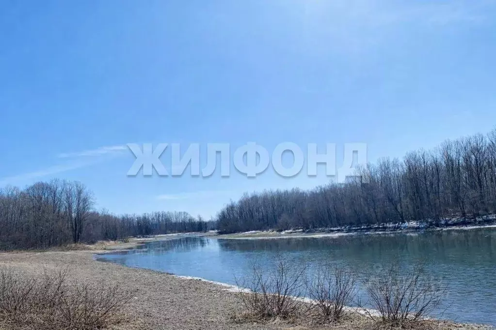 Участок в Алтайский край, Бийский район, с. Сростки Береговая ул. ... - Фото 1