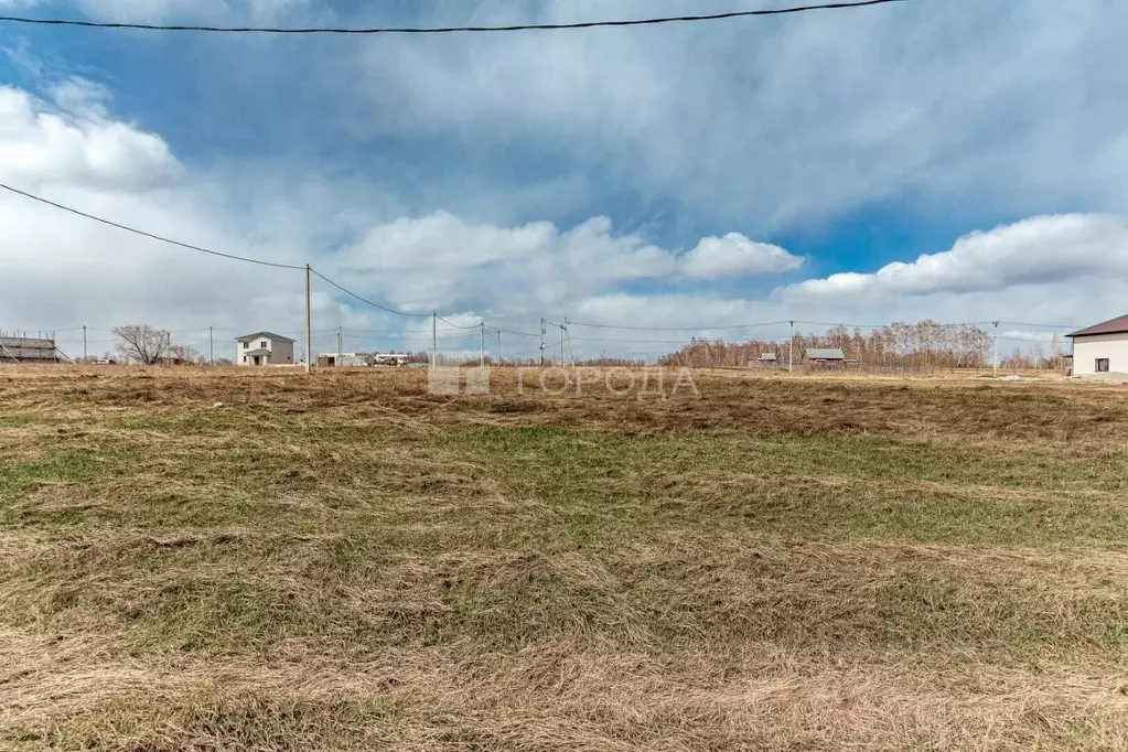Участок в Алтайский край, Барнаул городской округ, пос. Лесной ул. ... - Фото 1