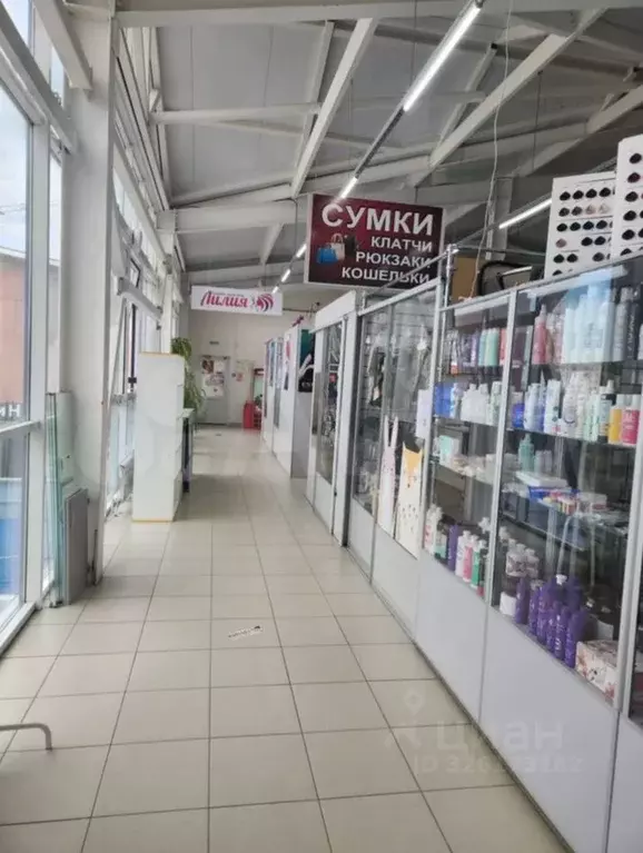 Помещение свободного назначения в Чувашия, Чебоксары ул. Кочубея, 1 ... - Фото 2